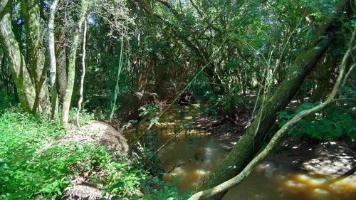 Chácara Muito Bem Localizada, Ideal Para Quem Busca Tranqüilidade Na Região Do Circuito Das Águas - Ch0329