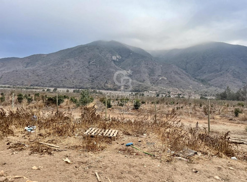 8000 M2 En Cabildo Propiedad Agrícola Comercial
