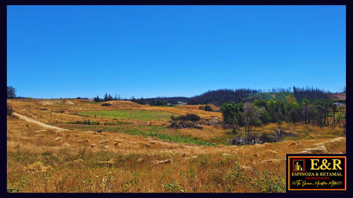 Parcelas A Orilla De Carretera, Sta. Juan (67691)