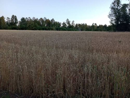 Se Vende Hermoso Campo En La Unión