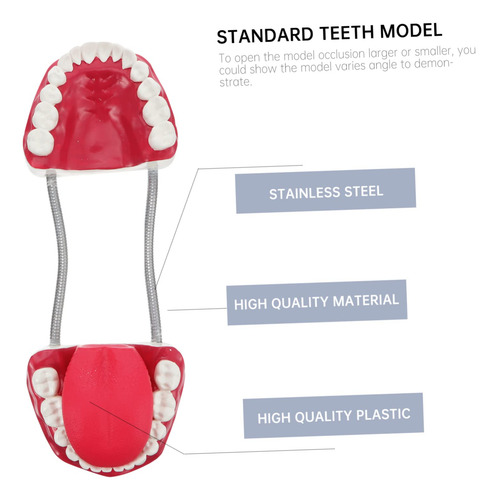 Cepillo Dental De Demostración Marca Sin Especificar Modelo Color