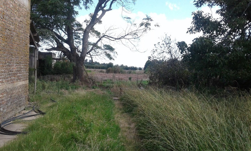 Campo Agricola En Colonia Wilson De 10 Hás