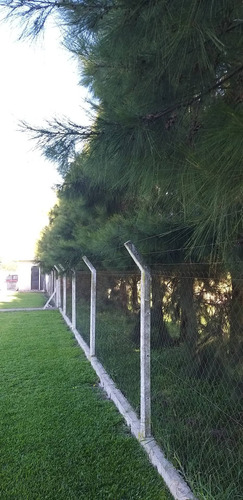 Club De Campo Canino, Razas Medianas