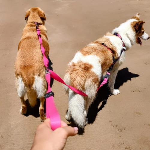 Guia Coleira Dupla E Cinto De Segurança Duplo Para Cães Cor Rosa M