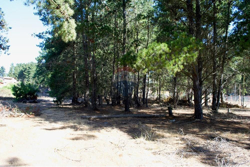 Excelente Parcela De 1 Hectárea En Laguna Verde