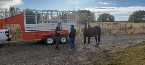 Acoplado 4 Mts Carro Vaquero Jaula Trailer Enganche Cigueña