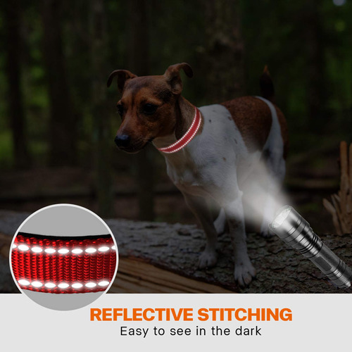 Collar Reflectante Para Perro De Color Rojo Tamaño S