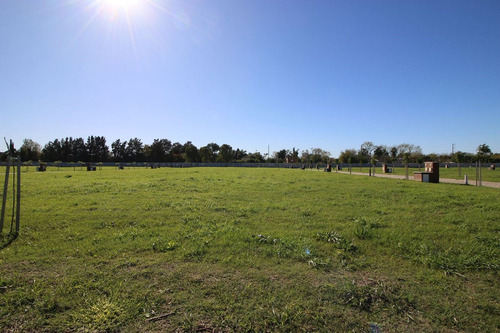 Lote Central- El Olivar Barrio Cerrado En Pilar