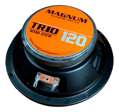 2 Alto Falantes Woofer Magnum Profissional 120w Rms 6 Pol Cor Preto