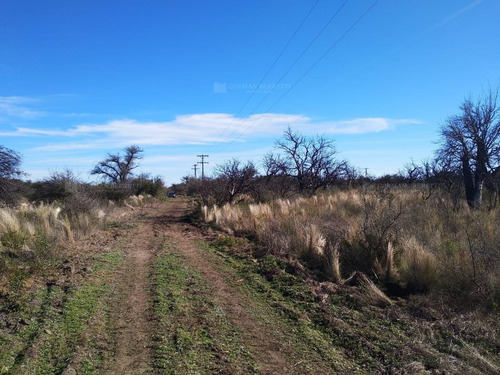 Imagen 10 de 11 de Terreno Campo En Venta Ubicado En Cortaderas, Chacabuco