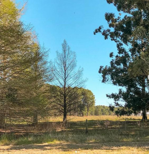 Chacra En 6 Hectareas En Venta A 10 Minutos De Carmelo, Balneario Zagarzazu, Oportunidad