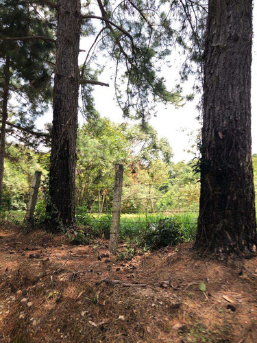 Imagem 11 de 16 de Terreno, Rancho Tucsons, Santana De Parnaíba - R$ 3.82 Mi, Cod: 235496 - V235496