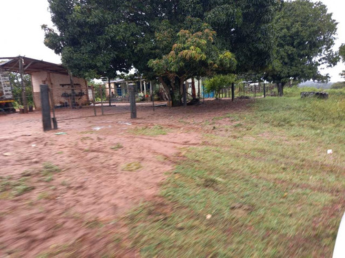 Imagem 13 de 14 de Sitio Chapadao Do Ceu 80 Alqueires Valor 6.500.000