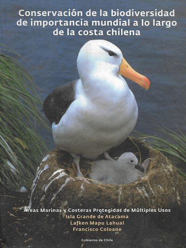 Conservación Biodiversidad Mundial En Costa Chilena