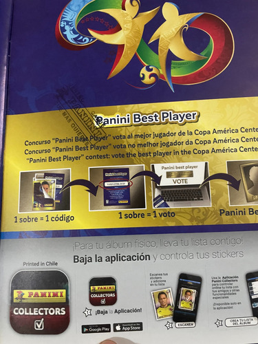 Pack Álbum Panini Selección Chile Mundial Y Copa América Kit (Usado)