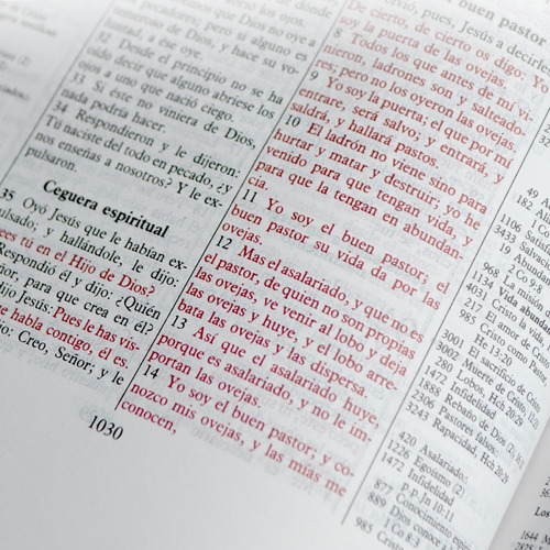 Biblia De Referencias Thompson Reina Valera 1960 Dúo Tono
