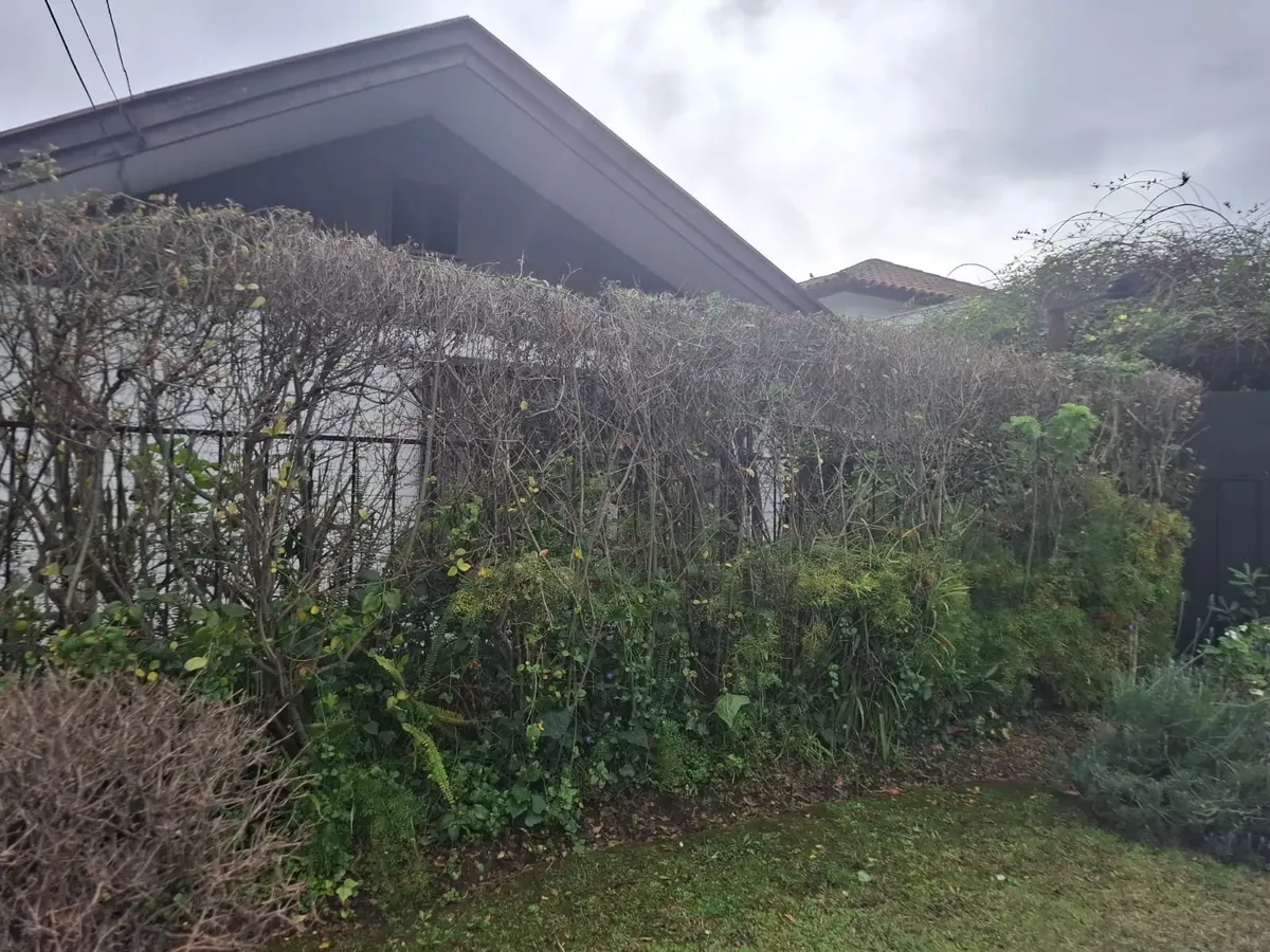 Imagen 1 de 29 de Casa Emplazada En Las Tranqueras Con Las Chacras Vitacura