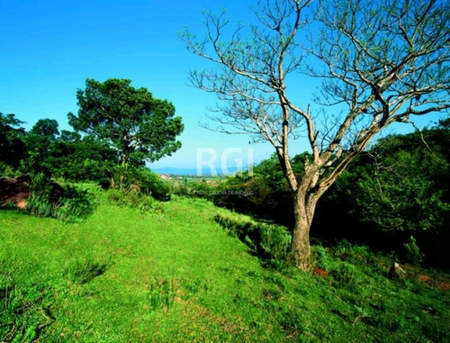 Terreno Em Vila Nova - Mf17191