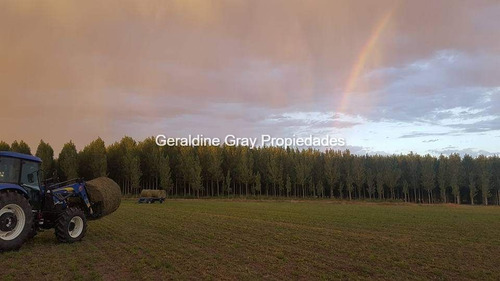 Campo En Venta De 70 Has Ubicado En Tratayen