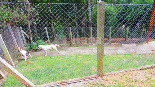 Imagem 27 de 30 de Chácara À Venda No Bairro Gaspar Grande - Gaspar/sc - 2267c