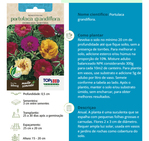 Kit 4x Sementes De Onze Horas 80mg Sortida Dobrada Portulaca