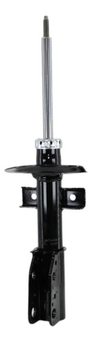 Strut Buick Enclave 08-12 Delantero