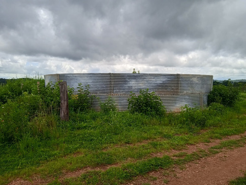 Imagen 6 de 25 de Finca Venta Lara Acarigua En Venta (gamelotal) De 251 Hectareas