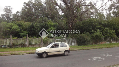 Imagem 11 de 11 de Terreno - Protasio Alves - Ref: 237184 - V-237184