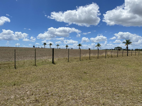 Imagen 11 de 14 de Chacra A La Venta Sobre Ruta Interbalnearia Excelente Ubicación 36há O Fracción