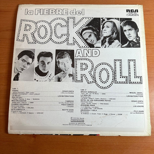 Disco Lp La Fiebre Del Rock And Roll (Usado)