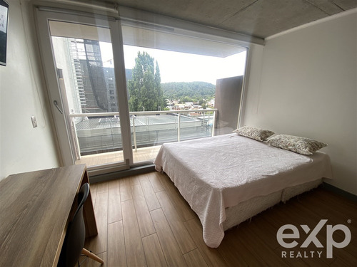 Arriendo Departamento Estudio Cerca Universidades Y Hospital