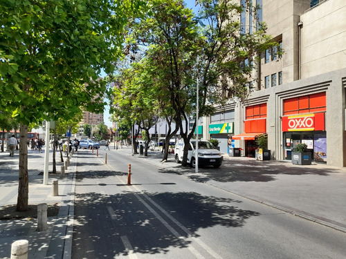 Amplio Depto En Pleno Rosario Norte, Ubicación Inmejorable