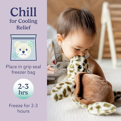 Intelex Cozy Microwaveable Plush Turtle - Lavanda Perfumada