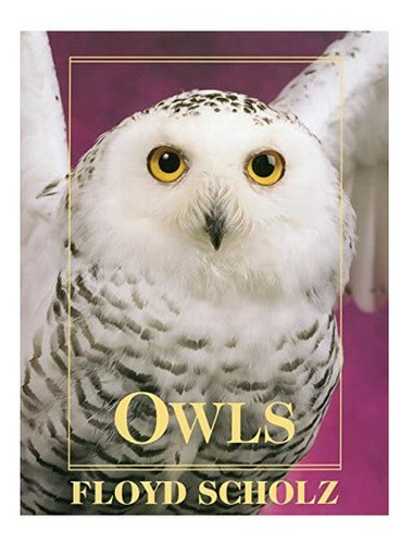 Libro: Owls: An Artist S Guide To Understanding Owls