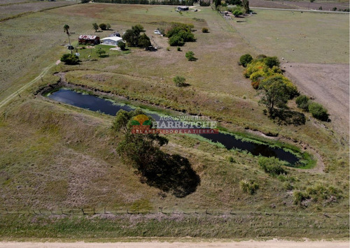 Imagen 17 de 23 de Chacra En Venta, Canelón Chico, 3 Has, Muy Linda Casa!