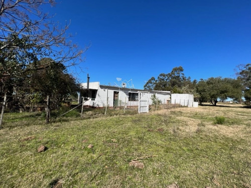 Imagen 21 de 30 de Campo 10 Has Y Media Con Casa Y Manantial Con Agua Permante. Consulte!!!!!!!!! - Zona Rural Zona Rural