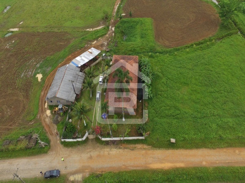 Imagem 2 de 21 de Fazenda - 229 - 70651803