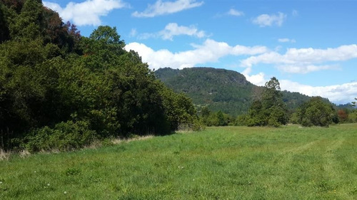 Imagen 11 de 11 de Sitio En Venta En Lago Ranco