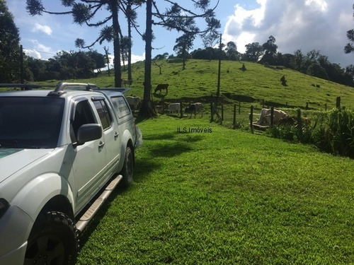 Imagem 6 de 6 de Sitio - St00014 - 69494756