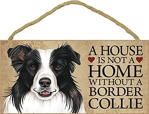 Una Casa No Es Un Hogar Sin Perro Border Collie - 5  X 10  M