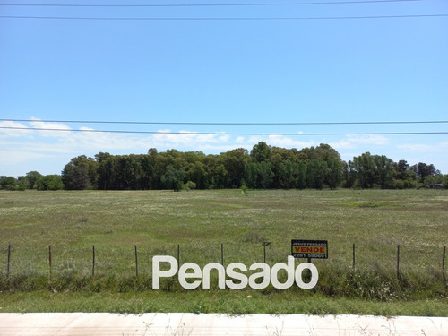 Imagen 5 de 18 de En Venta 1 Hectarea Con Servicios