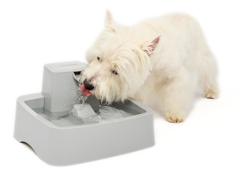 Petsafe Drinkwell - Fuente De Agua Para Gatos, Perros O Múlt