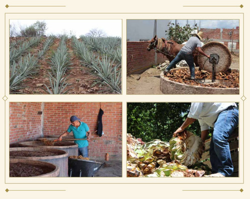 Bieneterno, Botella De Mezcal Espadin Joven