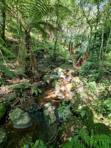 Imagem 22 de 30 de Linda Chacará Com Mais De 36.000 M², Situada Na Cidade De Quitandinha, Paraná. - Ch00019 - 70570203