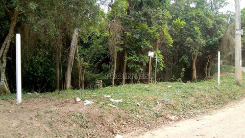 Imagem 6 de 16 de Terreno À Venda, 8000 M² Por R$ 1.200.000,00 - Capuava - Embu Das Artes/sp - Te8770