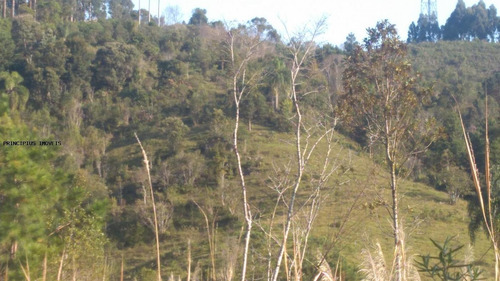 Imagem 1 de 15 de Chácara Para Venda, Paiol De Baixo - 00302_2-1186466