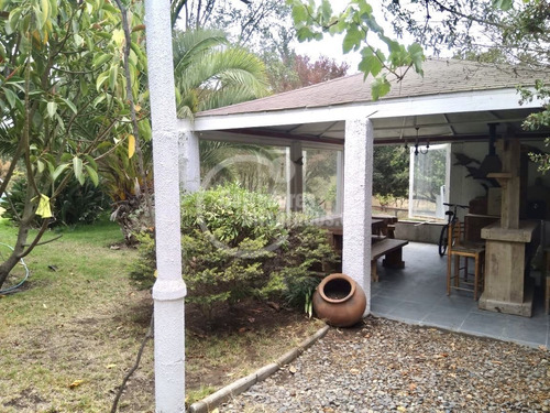 Gran Casa 2 Pisos, 5 Dorm, Jardín, Los Pinos De Reñaca
