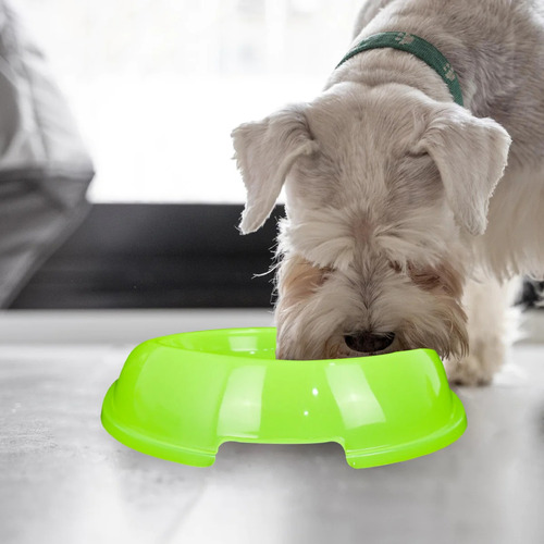 Tazón De Comida Para Perro