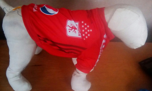 Camiseta America De Cali Talla Xs Para Tu Mascota