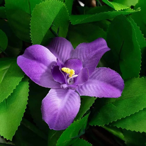 Valla Simulada, Hojas De Valla, Violeta